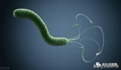 ​温胃舒养胃舒 治疗幽门螺杆菌6种新疗法——成功率高，副反应少