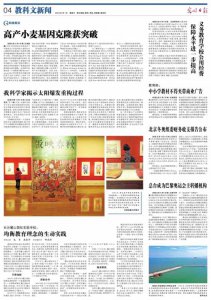 ​麓山国际实验学校(长沙麓山国际实验学校)