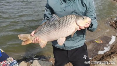 ​冬天怎么钓鲤鱼？五个步骤循序渐进，大鲤鱼轻松拿捏