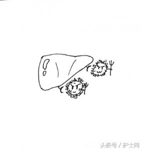 ​病毒性肝炎 病毒性肝炎发病原理及治疗方法，这几张漫画一看就全懂了！