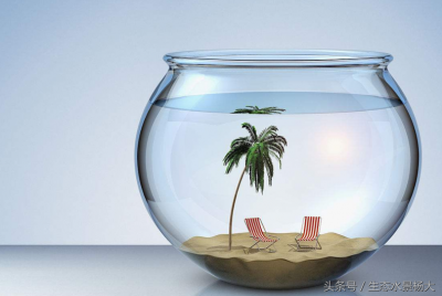 ​小鱼缸适合养什么鱼最好（小鱼缸适合养什么观赏鱼最好？）