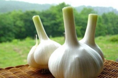 ​吃大蒜的好处（吃大蒜的好处您不一定知道）