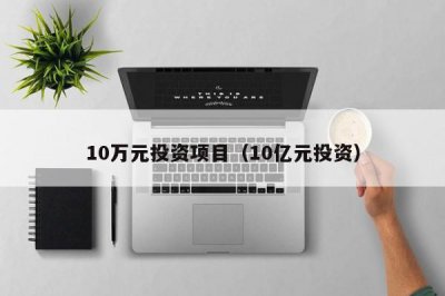 ​10万元投资项目（10亿元投资）