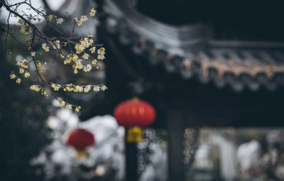 ​兰摧玉折(30部国学名著，30句精辟之言！)