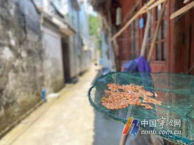 ​什么时间入伏怎么算（入伏出伏时间怎么算？“三伏贴”怎么贴？答案来了）