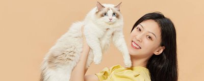​猫灵敏还是老鼠灵敏 猫吃老鼠怎么办