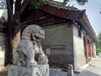 ​枳壳的作用 大小和鹅的眼睛差不多，又称为“鹅眼枳实”，或“鹅枳实”！