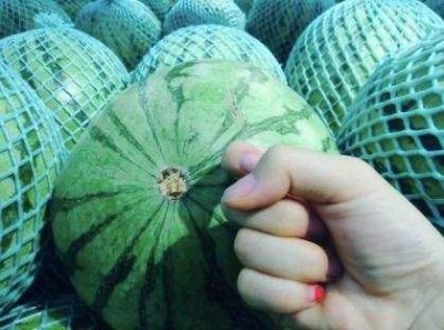 ​挑西瓜最好的三个方法，学会一挑一个准