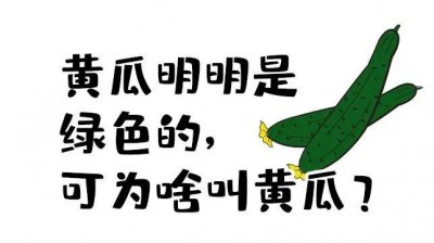 ​黄瓜为什么叫黄瓜？看完又涨知识了…