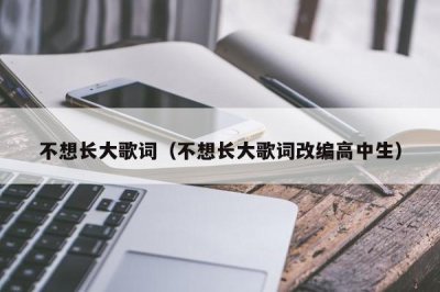 ​不想长大歌词（不想长大歌词改编高中生）