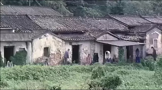 香港经典恐怖片有哪些（香港十大经典恐怖片推荐）