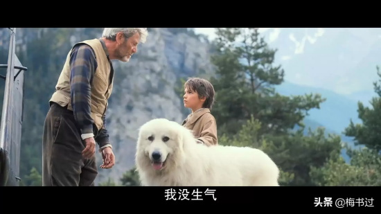 有哪些好看的狗狗电影（十大灵性狗狗电影推荐）