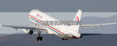 ​装衣服的手提袋能拿飞机上吗 可以拿袋子装衣服上飞机吗