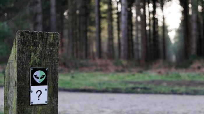 今天，我们可以在“伦德尔沙姆森林”（Rendlesham Forest）公园内的一条“UFO路”来追溯当年的大规模UFO目击事件