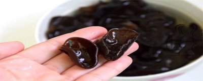 ​温水泡木耳泡多久能吃 温水泡木耳多久可以吃