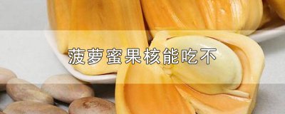 ​菠萝蜜果核能食用吗 菠萝菠萝蜜的果核可以吃吗?