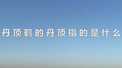 ​丹顶鹤的丹顶指的是什么颜色 丹顶鹤中的丹顶指的是什么