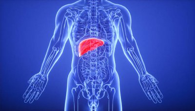 ​健康促进的策略包括哪些方面 健康促进的策略包括哪些内容