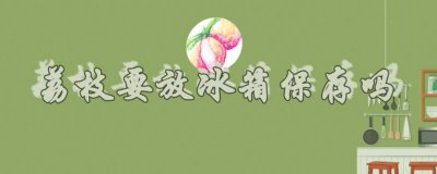​荔枝能不能放冰箱保鲜 荔枝可以直接放冰箱保存吗