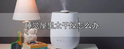 ​屋子很干燥怎么办 屋里太过干燥怎么办