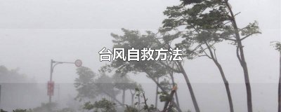 ​台风自救方法PPT 台风自救方法简笔画
