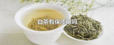 ​天目湖白茶有保质期吗多久 天目湖白茶有保质期吗多少年