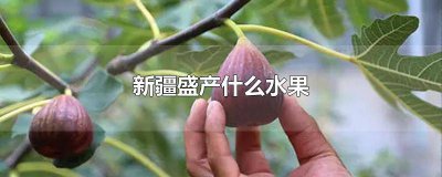 ​新疆主产哪些水果 新疆的特产是什么水果