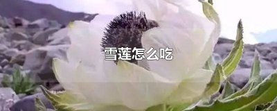 ​雪莲果怎么吃法好吃又营养 雪莲果都能怎么吃,谁知道?