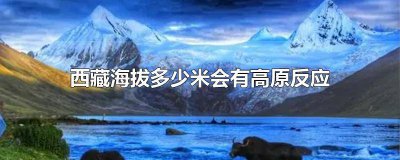​西藏海拔多高,有高原反应吗知乎 拉萨海拔高度是多少米会有高原反应吗