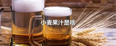 ​小麦果汁是啥啤酒 小麦果汁是啥?