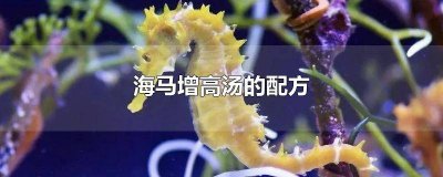 ​海马增高汤的配方图片 海马增高汤的配方几岁能吃
