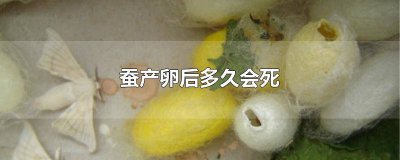 ​蚕从出生到产卵要几天才能孵化 产的蚕卵多久出生