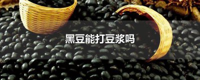 ​陈年黑豆能打豆浆吗 黑豆能打豆浆吗会有异味吗