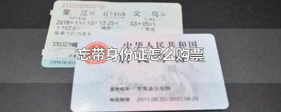 ​忘带身份证如何买汽车票上车 忘带身份证如何买汽车票坐车