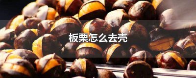 ​板栗怎么去壳 新浪博客 板栗怎么去壳 百度网盘