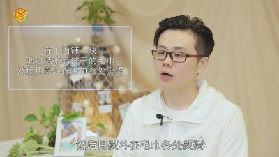 ​棉被被猫撒尿了怎么办 棉被猫尿了怎么办