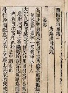 ​段成式简介（段成式唐代著名志怪小说家）