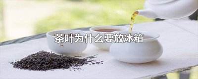 ​茶叶为什么要放冰箱里冷藏 茶叶为什么要放冰箱保存