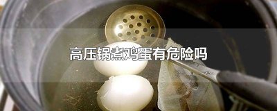 ​电高压锅能煮鸡蛋吗? 可以用电高压锅煮鸡蛋吗