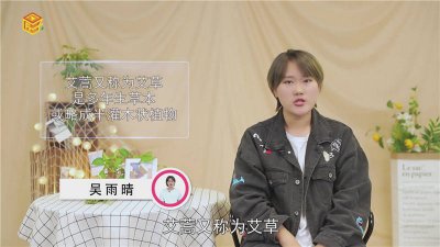 ​空气中的艾蒿是什么 艾蒿是什么样子图片