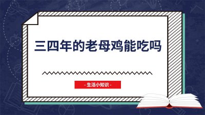 ​三四年的老母鸡能吃吗有营养吗 三四年的老母鸡能吃吗图片