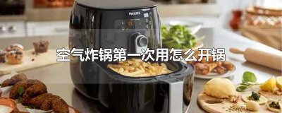 ​橙子可以放空气炸锅里面烤吗 空气炸锅第一次用橘子皮怎么去味