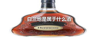 ​白兰地是什么酒保质期多久 白兰地酒是否有保质期