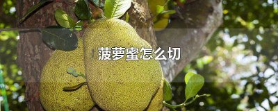 ​菠萝蜜的切开方法 菠萝蜜怎么切开的