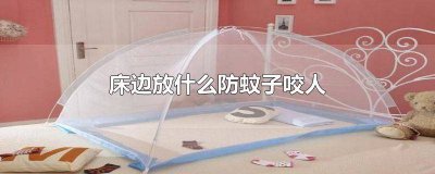 ​床上防蚊子 床上除了蚊子还有什么咬人
