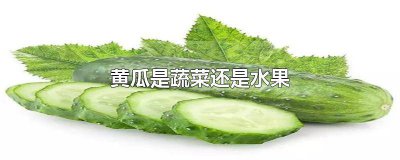 ​水果黄瓜是蔬菜吗 水果黄瓜到底是水果还是蔬菜