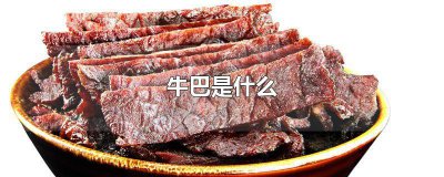 ​玉林牛巴是什么 广西牛巴是什么