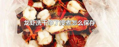 ​龙虾做好了怎么保存 做好的龙虾怎么保存方法