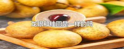 ​龙眼和桂圆是一样的吗能吃吗 龙眼跟桂圆有什么不一样