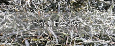 ​毛头茶的功效 毛茶有哪些茶